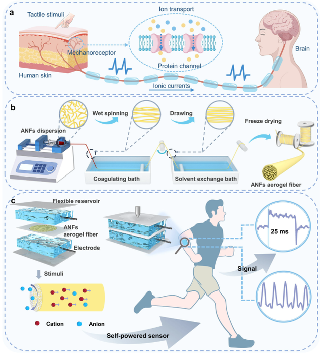 Waste Aramid Fabric Upcycled into High-Performance Aerogel Fibers for Self-Powered Sensors  -1-