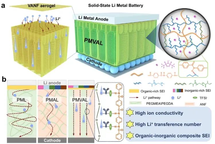 New Vertically-Aligned Aramid Nanofiber Aerogel Boosts Solid-State Battery Performance  -2-