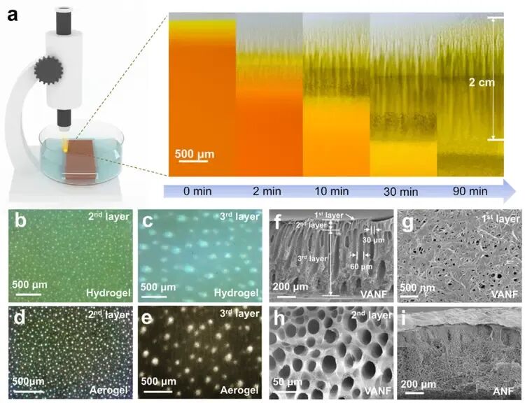 New Vertically-Aligned Aramid Nanofiber Aerogel Boosts Solid-State Battery Performance  -4-