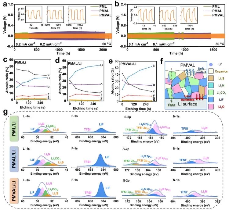 New Vertically-Aligned Aramid Nanofiber Aerogel Boosts Solid-State Battery Performance  -7-